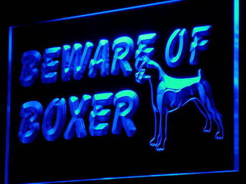 Beware of Boxer Dog Display